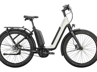 Premium XXL E-Bike